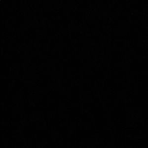 Meet your Posher, Ty